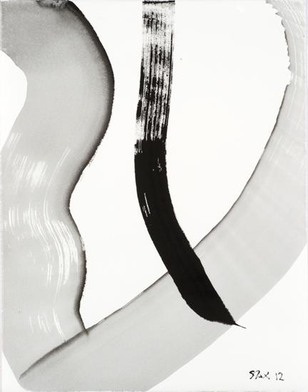 5-2012 selance 66x51 chf 2000.jpg